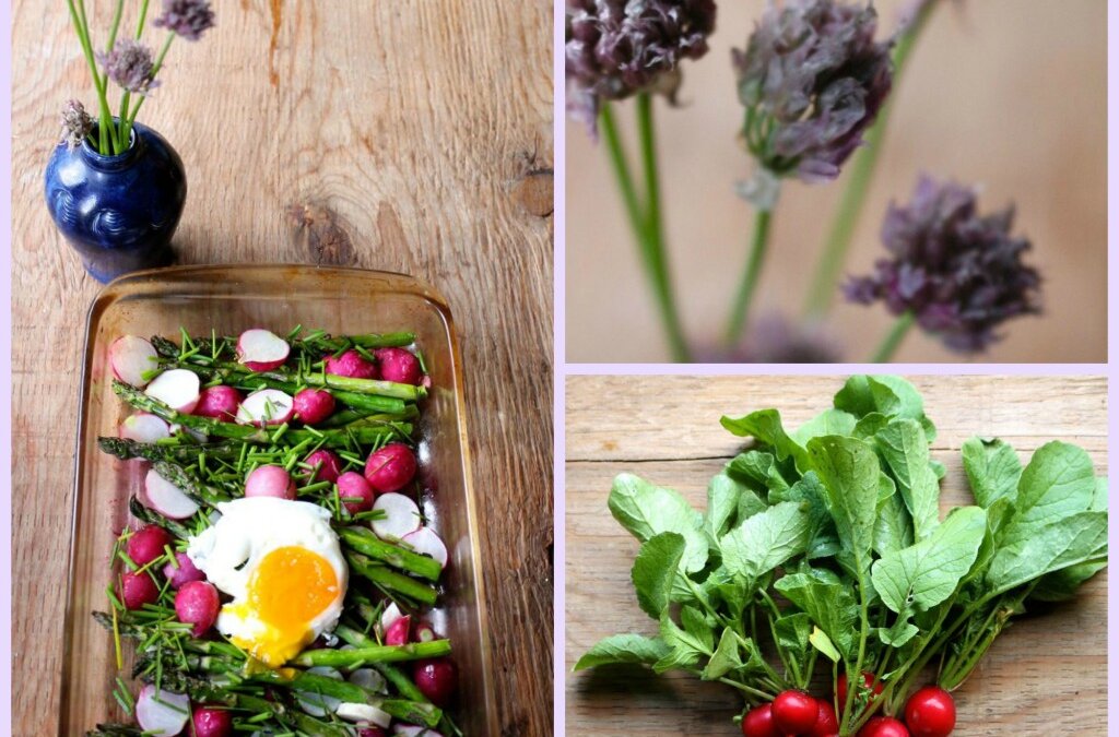 Roasted Radishes & Asparagus with Sage and Chives